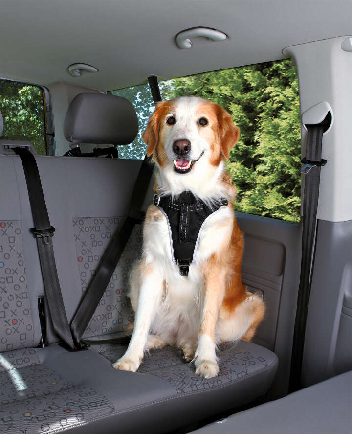 TRIXIE Auto-Geschirr Comfort